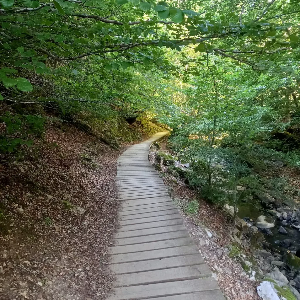 contacta y sigue la senda de regreso a ti